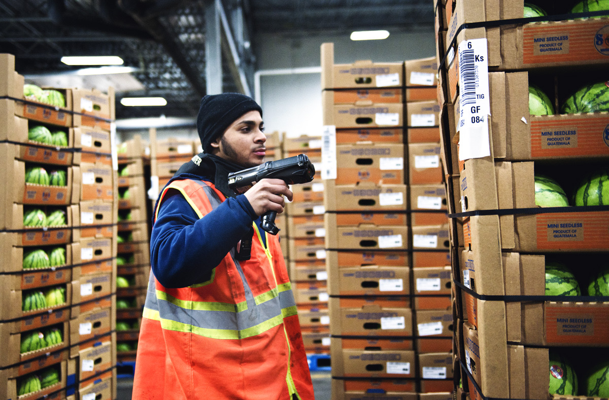 Colusa team member scanning produce cartons during an inspection